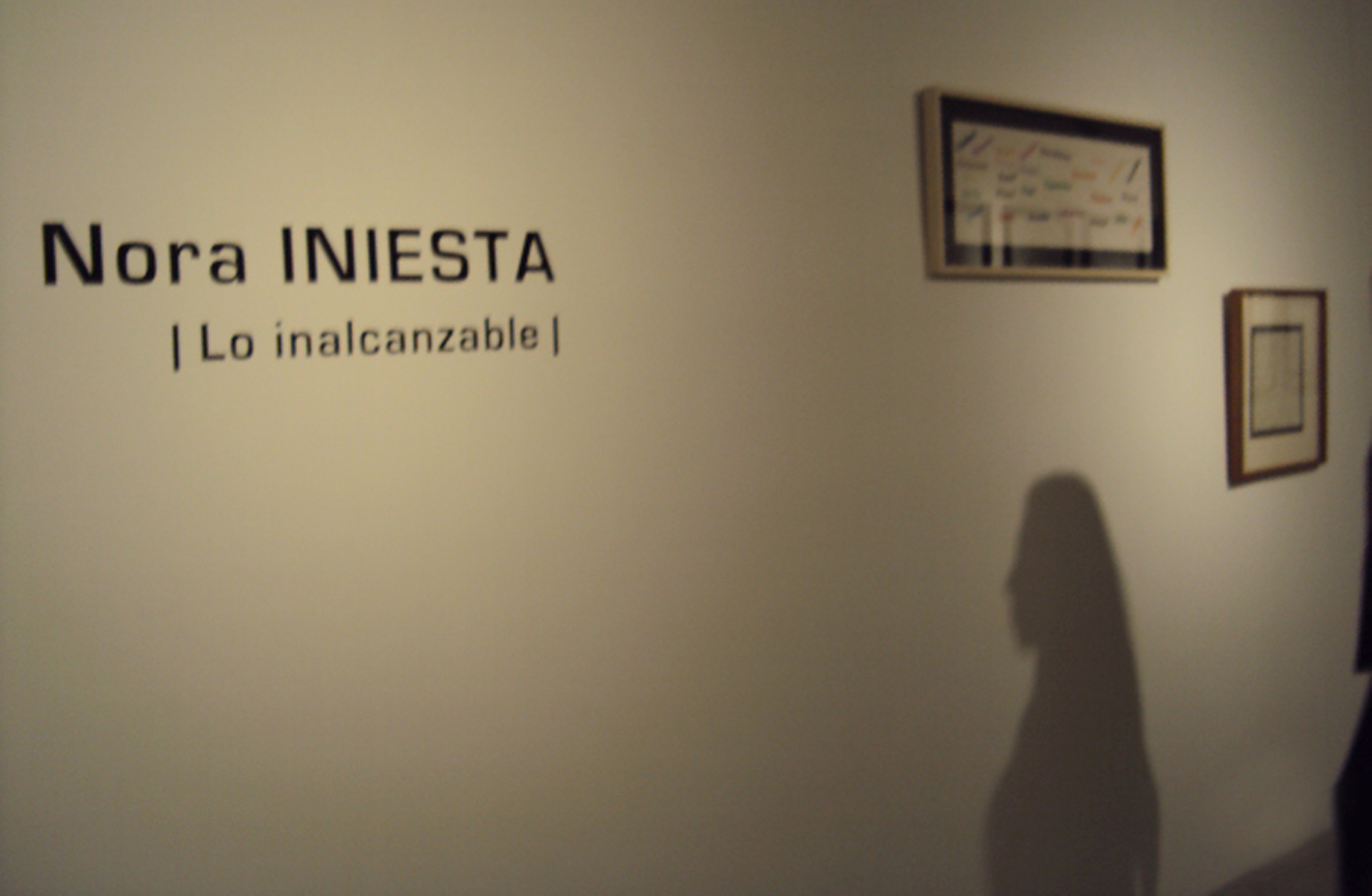 Lo Inalcanzable / Museo Provincial de Bellas Artes Emilio Caraffa, Córdoba, 2009
