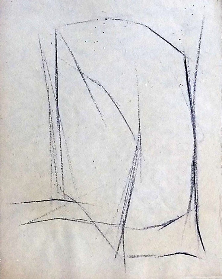 Estudio sobre los árboles ,dibujo, sobre papel, 27 cm x 20 cm , 1967